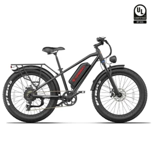 Kingbull Electric Bikes – Powerful E-Bikes for Every Adventure